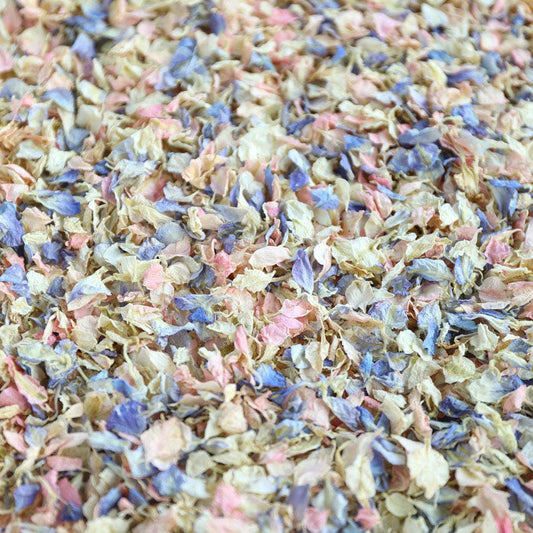Summer Nights Confetti