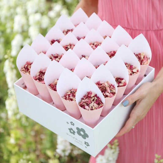 Shropshire Box (25 Cones & Confetti)